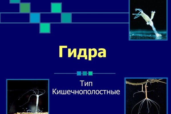 Как зайти на кракен