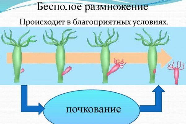 Сайт кракен тор браузера